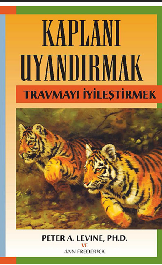 Kaplanı Uyandırmak